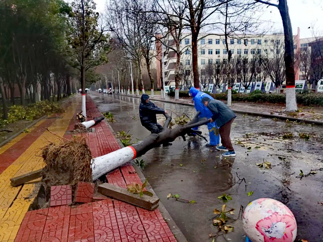 风雨同行.jpg